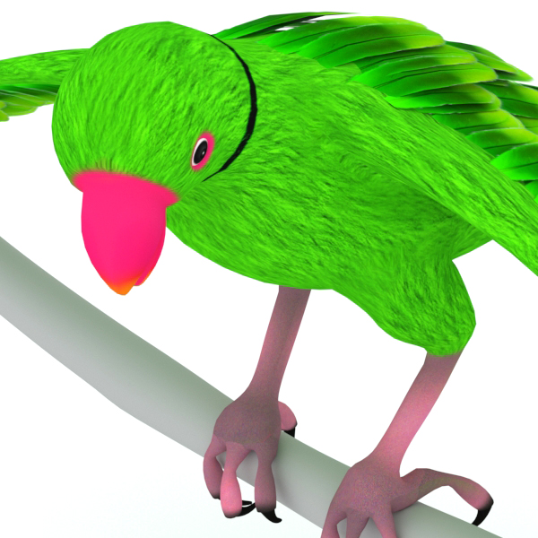 Parrot Rigged Animated